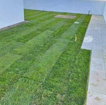 Sisteme de Irigare si Gazon Rulou