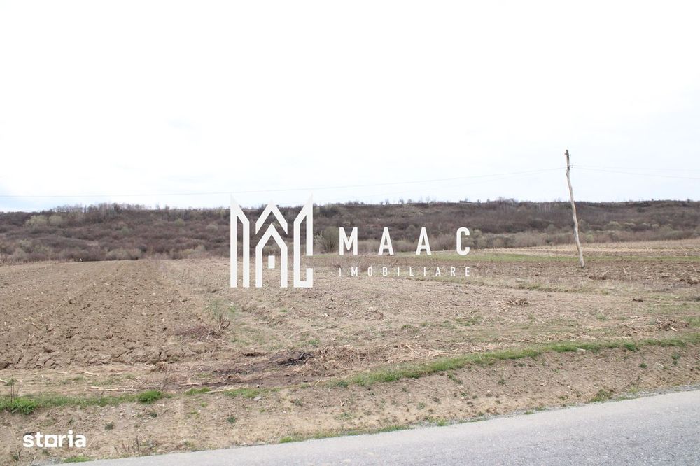 Oportunități de Investiție în Terenuri Sebesul de Sus