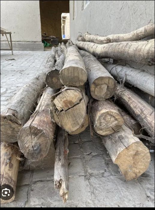 Терак йогоч 8-10 м бахоси келишилади