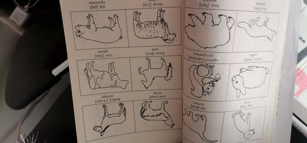 Учебно помагало по Английски за Начинаещиезик