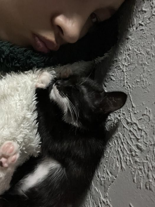 отдам в хорошие руки.