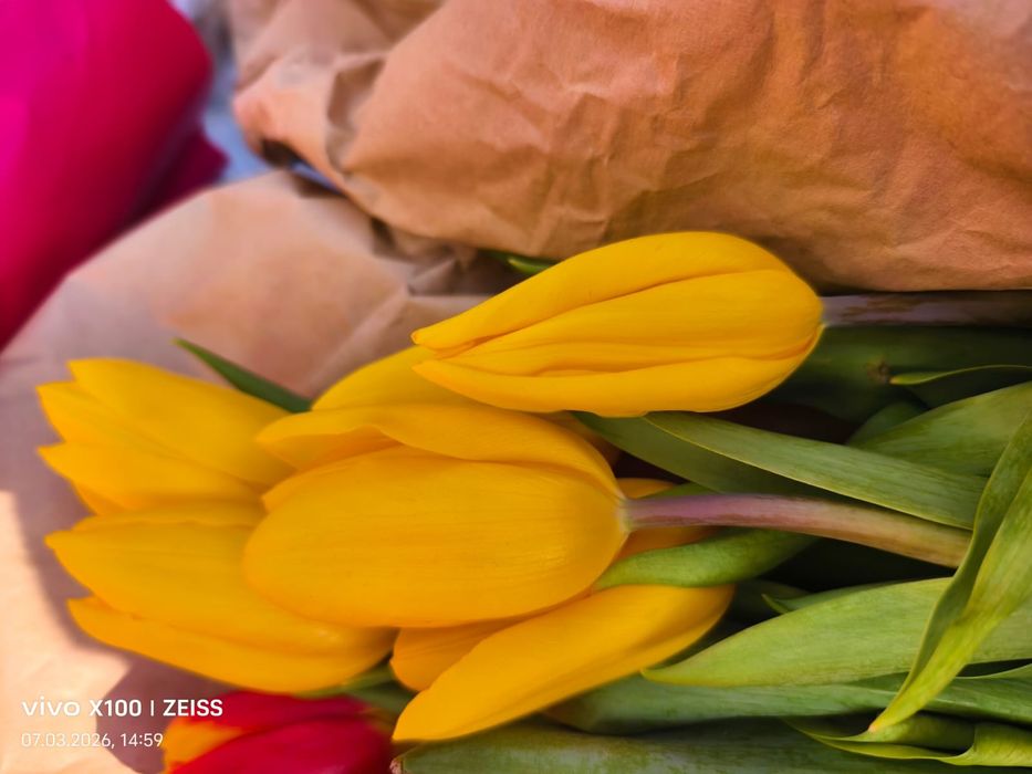 Тюльпаны продаются