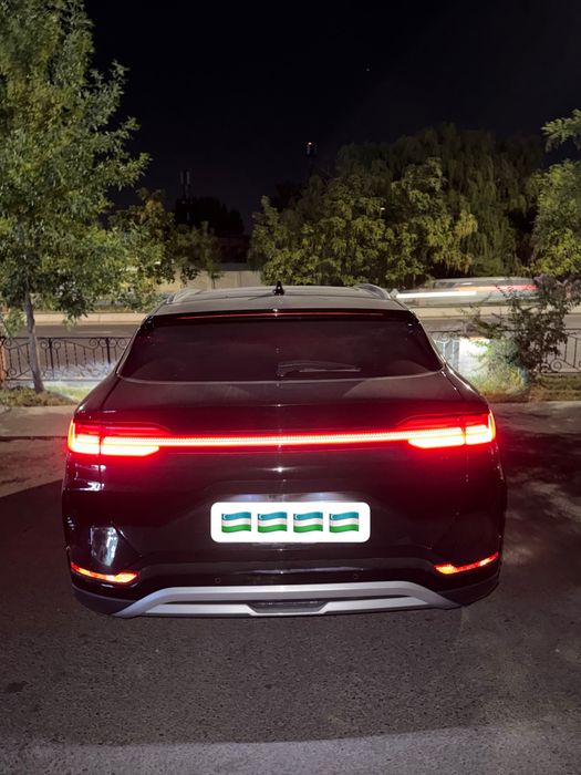 Byd champion 605