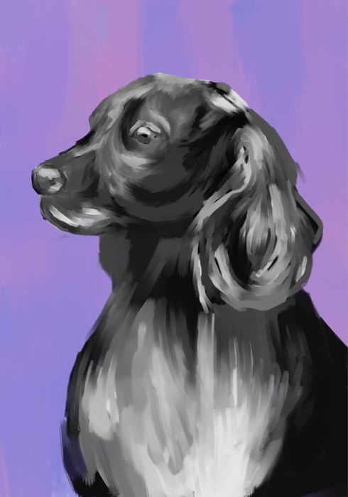 Дигитални илюстрации и карикатури