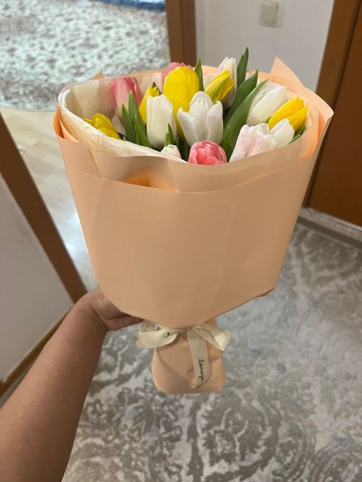 13 тюльпанов свежие