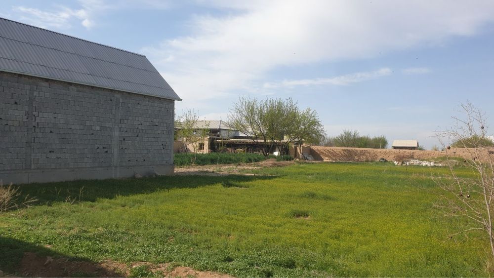 Прогресда 10 соток ер сотилали