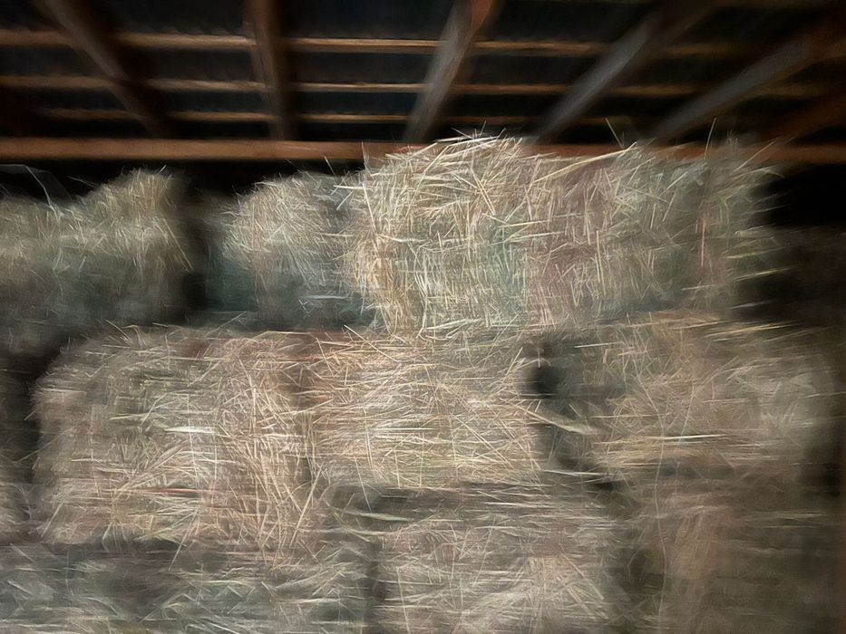 Жоншыка сатылады