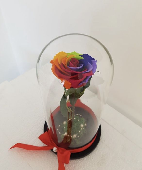 Cadou criogenat in cupola de sticla