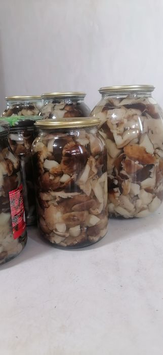 Продам грибочки очень вкусные