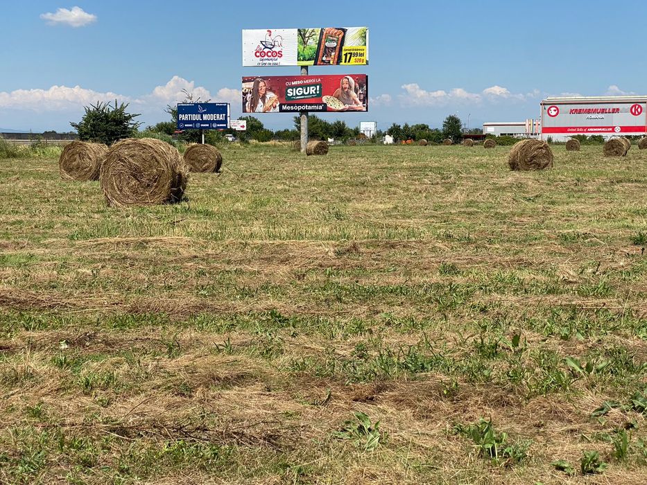 Baloți de fân de vânzare