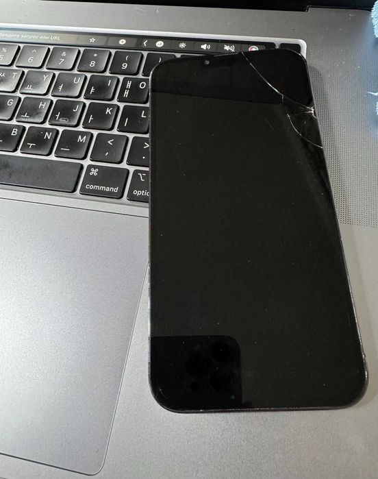 iphone 13 pro max 1 tb