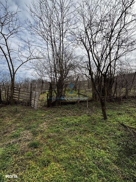 Casa individuala și în stare buna de vânzare în Ohaba