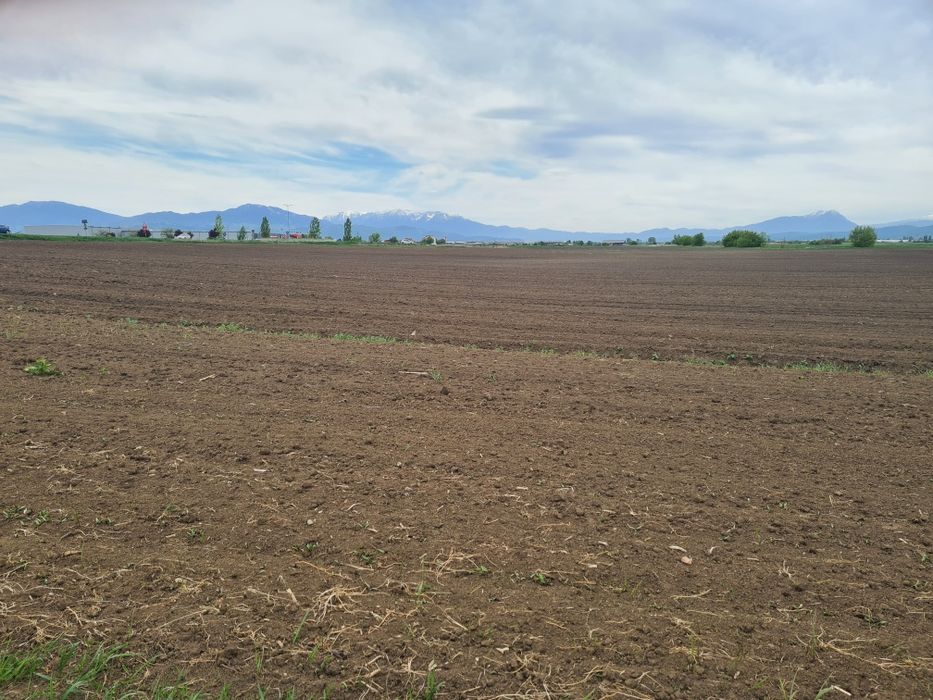 Teren Agricol 5000mp