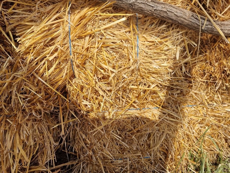 Baloți de lucerna și baloti de paie ovăz.