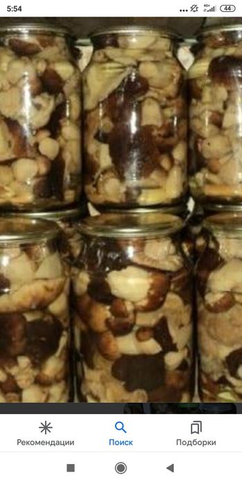 Продам грибы соленые