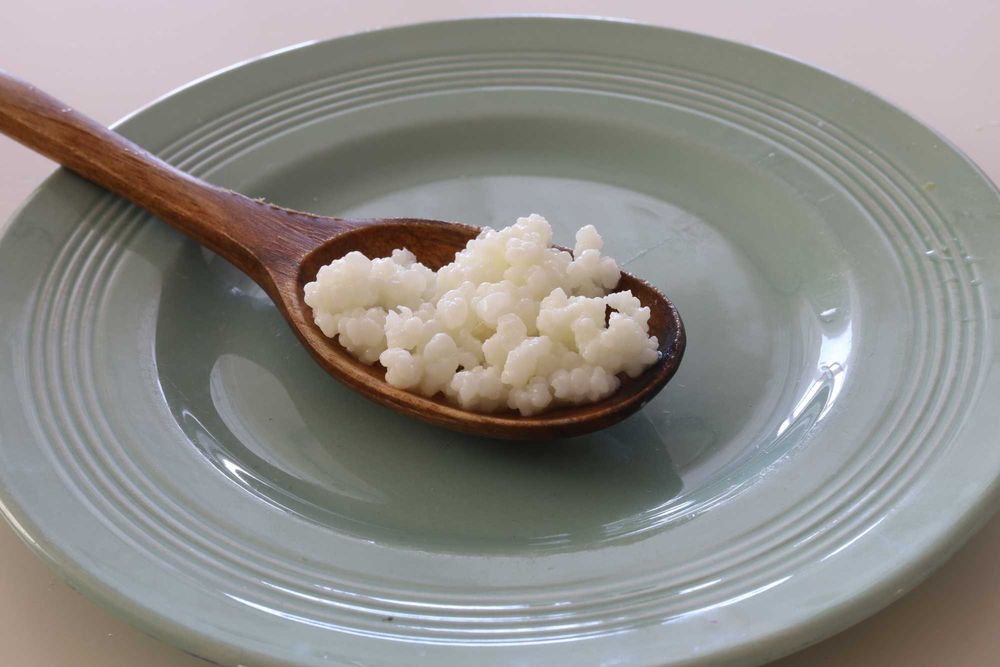 Vand granule pentru chefir de lapte – cultura activa