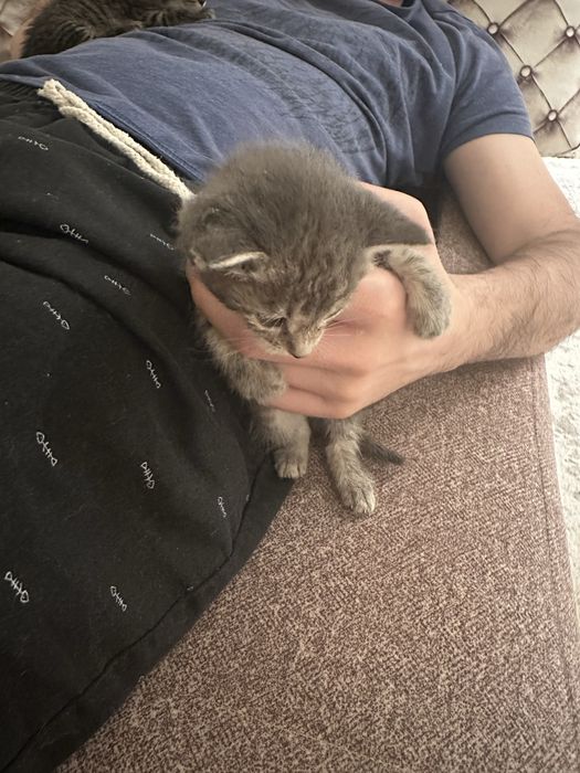 Отдам хорошие руки