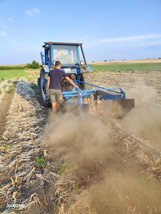 Продавам Лук  Лясковец и Щутгарт- 1,20лв/кг. +Дини+Пъпеш