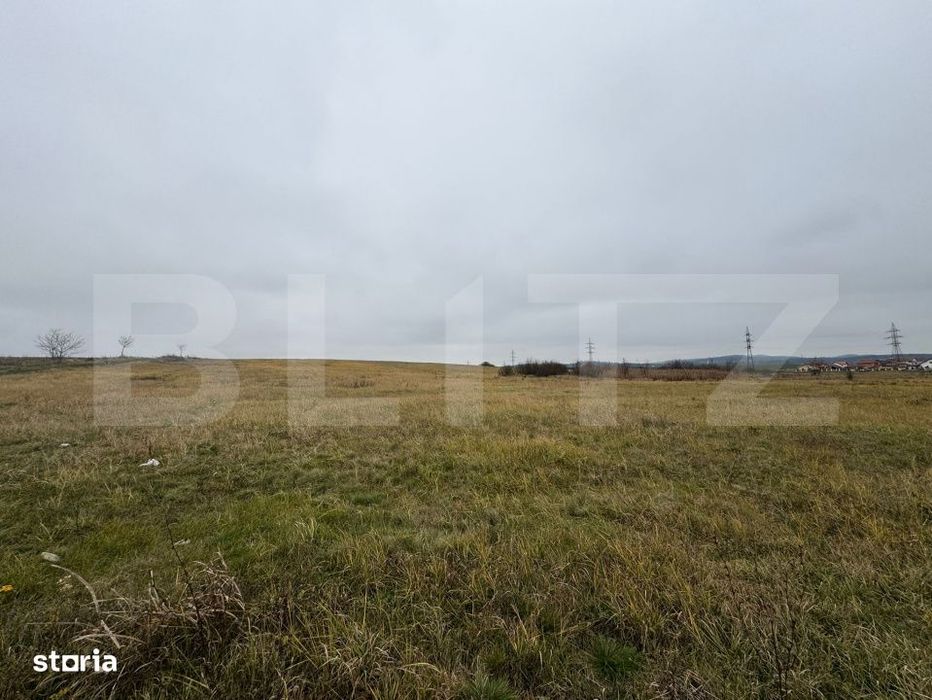 Teren intravilan in Pricaz 4416 mp