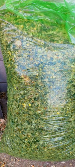 SILOS Donli   Донли  Силос 100%  (makka payani yaguarda ma