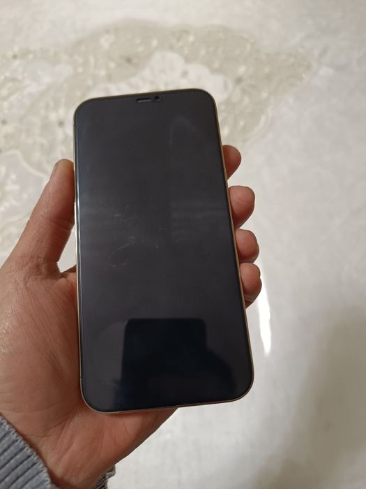 Iphome 12 pro max ideal