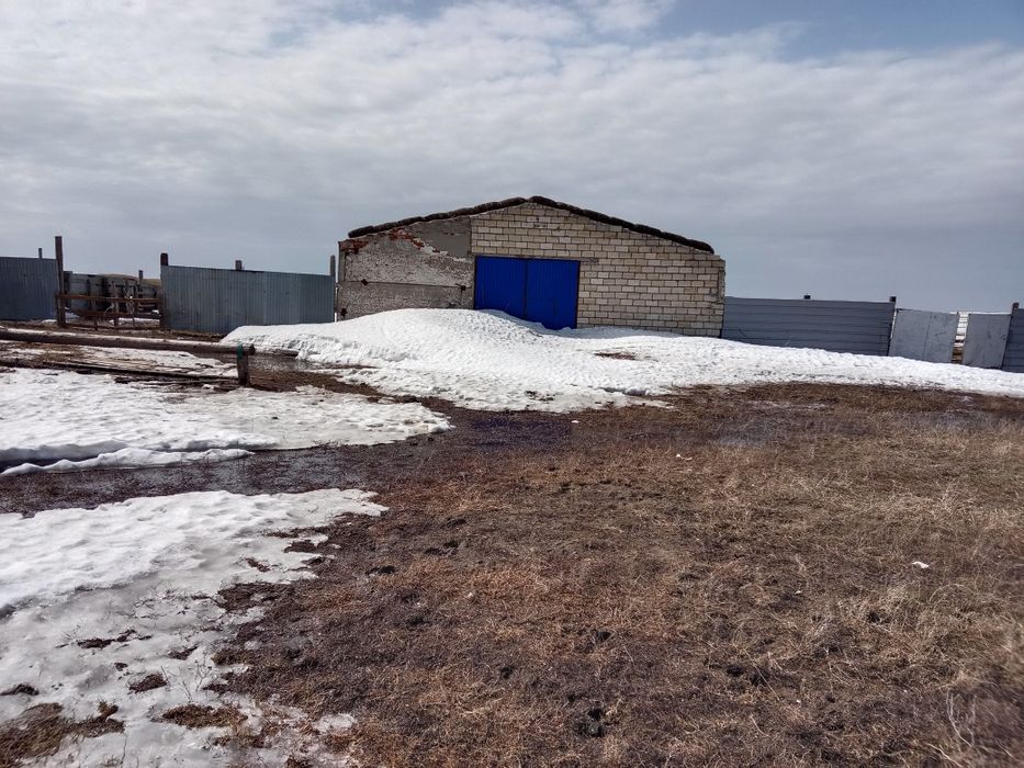 Продам крестьянское хозяйства