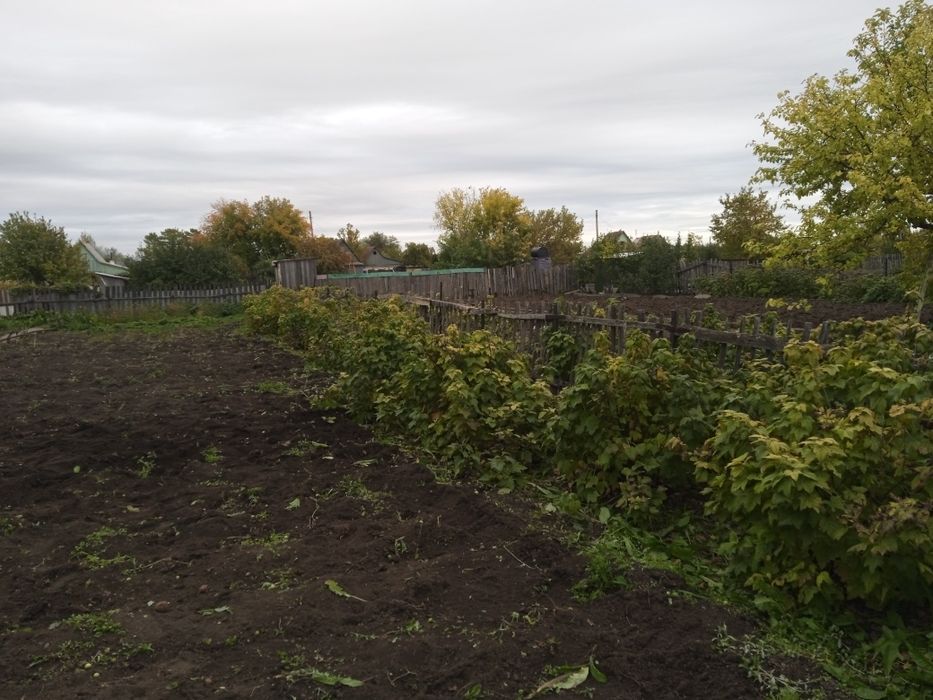 Продаю Дача Черёмушки