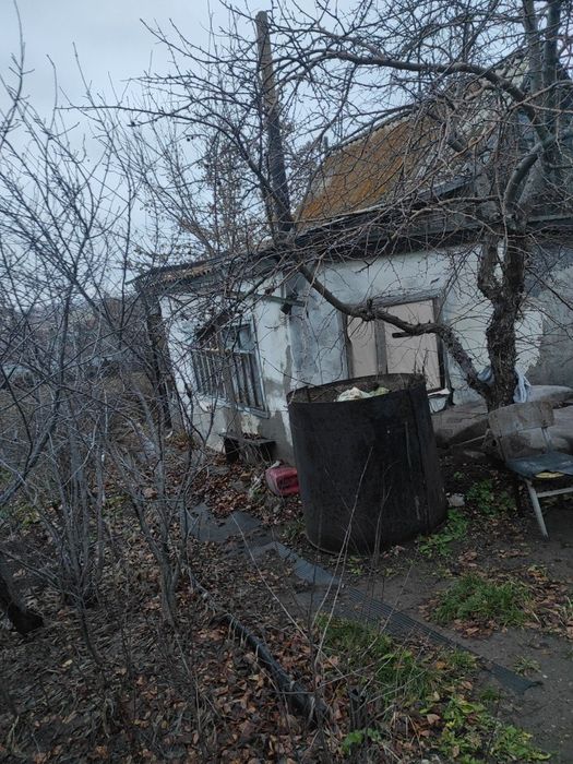 Дача в обществе природа.