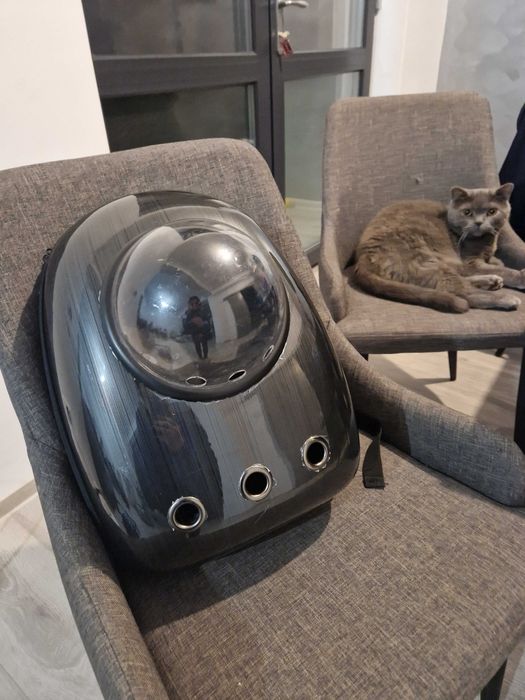 Ghiozdan transport caini si pisici