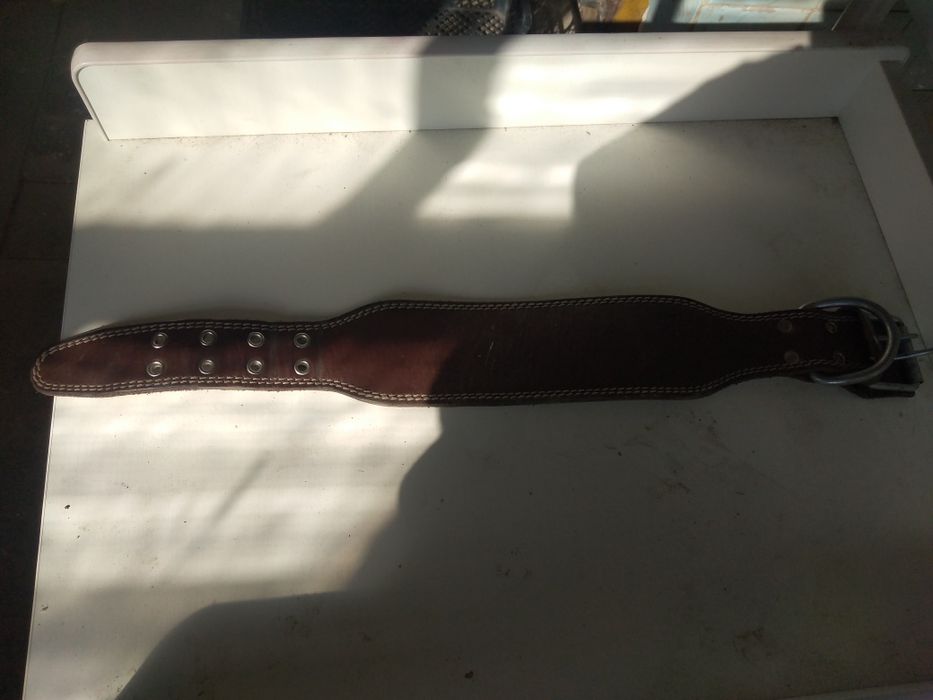 Будки, цепи, чашки, ощейники.