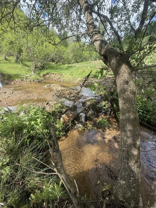 Teren intravilan de cabană la munte