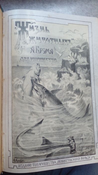 Брэм Жизнь Животных для юношества 1900 год