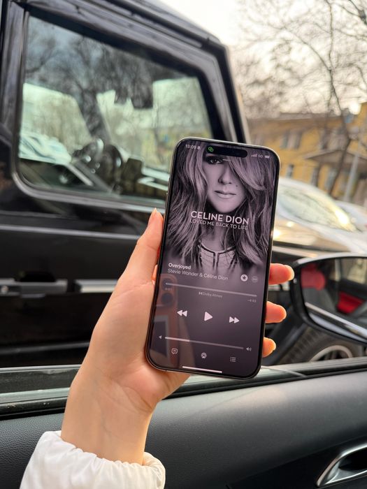 iPhone 16 Pro Max 1tb Gold в идеале