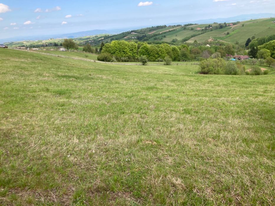 Teren intravilan in Șinteu 3 Ha