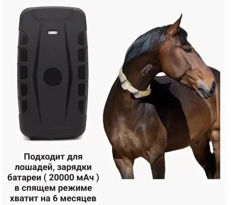 ЖПС трекер GSM трекер sim 918 г.Караганда в наличии в магазине