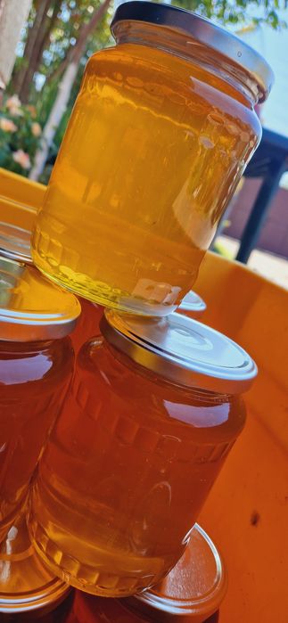 • Miere de albine 2025 •