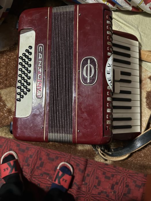 Acordeoane Hohner Student si Cantulia 32 basi