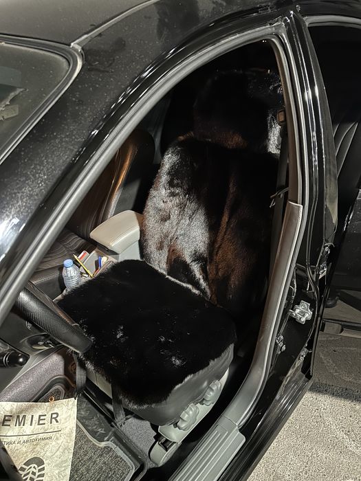 Меха, которые подойдут на любую машину!
