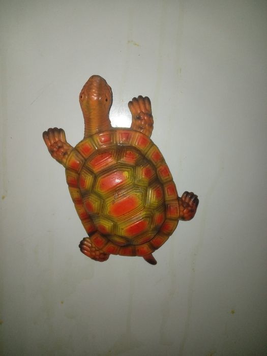 Магнитная черепаха