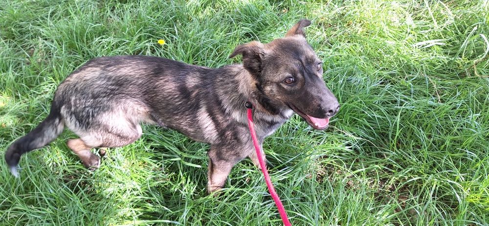 Девочка в ответственные руки