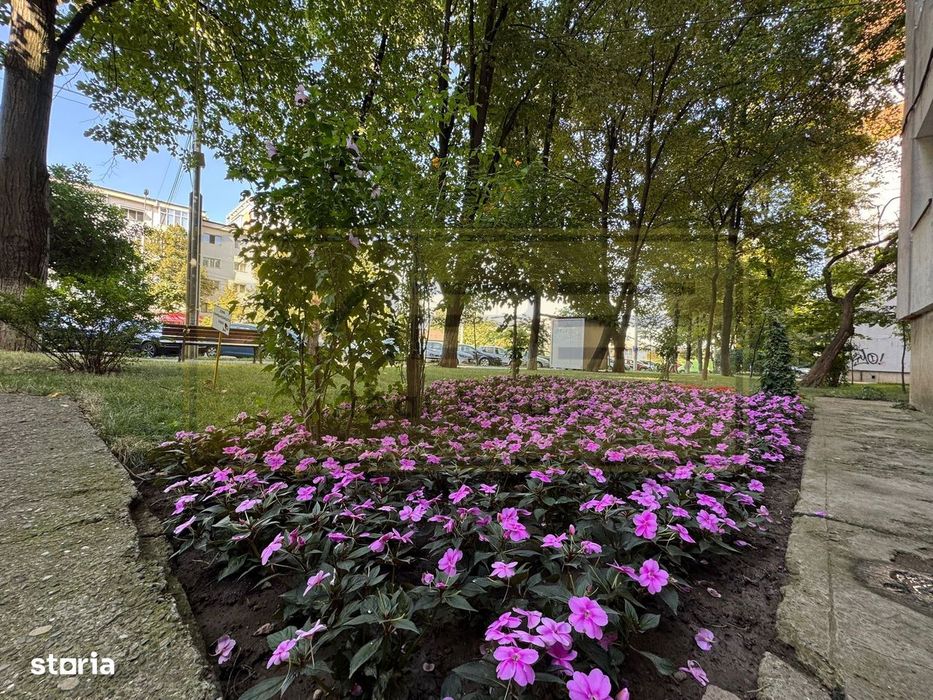 Apartament 2 camere decomandat Tatarasi - Blv V. Lupu