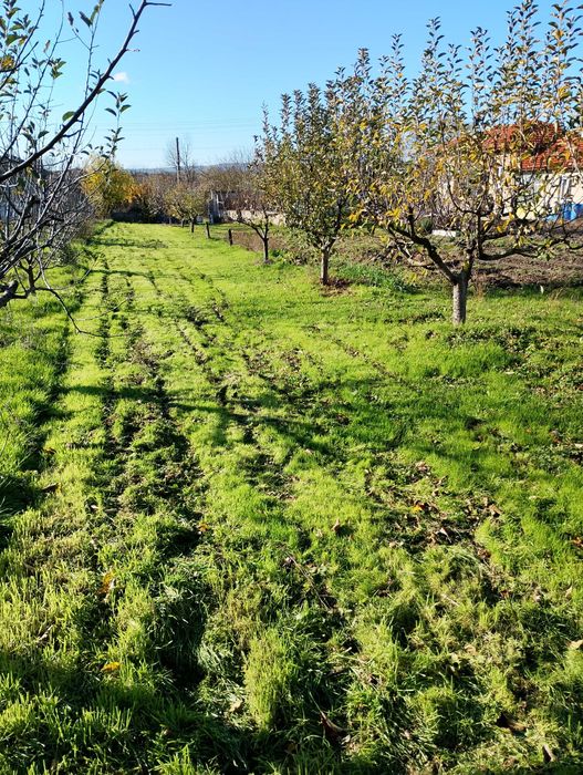 Продава се Парцел в с. Дибич, Област Шумен - 720 кв.м за 44 €/кв.м - Снимка #1