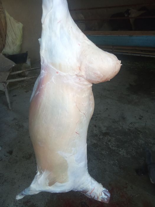 Кассоб хизмати 200000