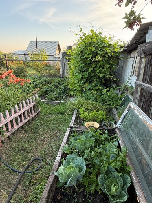 Продам дом в свинсовхозе