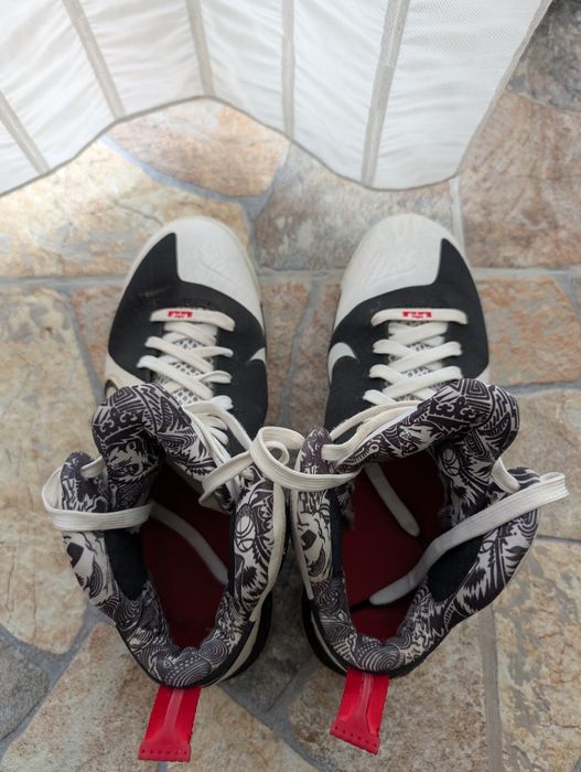 Nike LeBron 9 IX Freegums de colectie