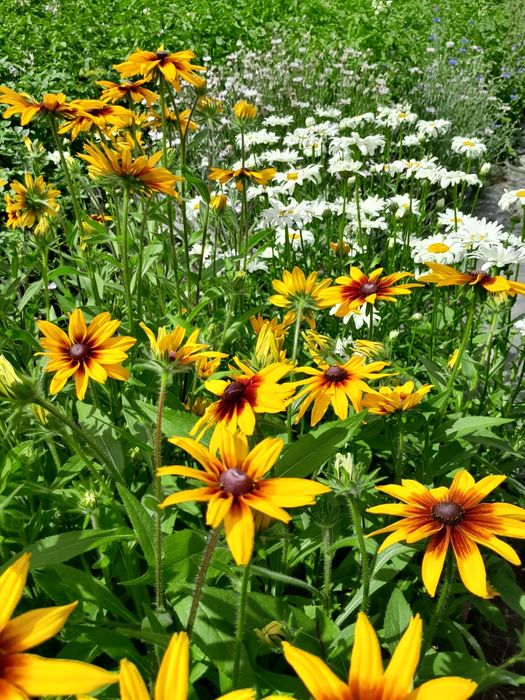 Продам дачу на Ульбастрре