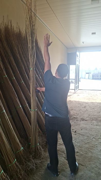 Терак кучатлари келишилган нархда