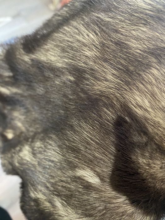 Норковая шуба б/у