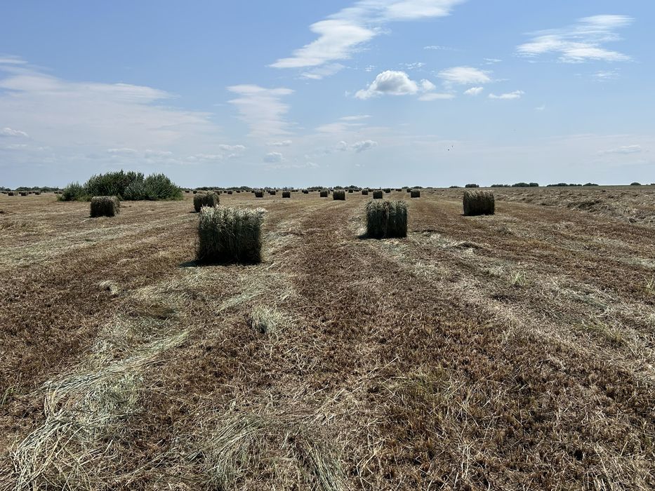 Продам Сено в рулонах