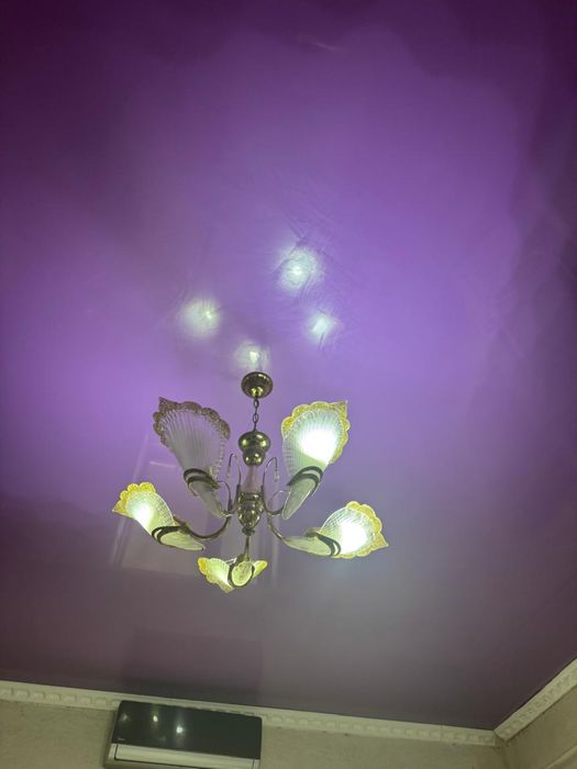 Свежие цветы 5000тыс